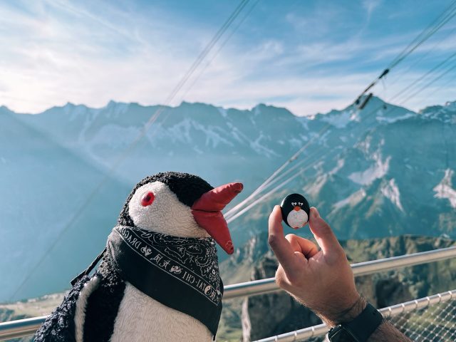 Hand-painted penguin stone #65 hidden at Thrill Walk, Birg, Switzerland (photo 5 of 5)