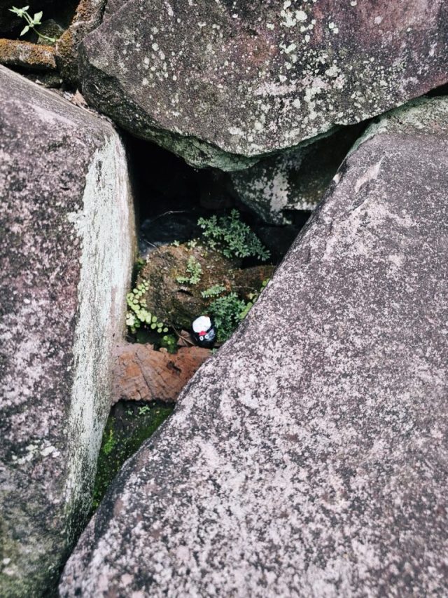 Hand-painted penguin stone #143 hidden at Ta Prohm Temple, Siem Reap, Cambodia (photo 5 of 5)