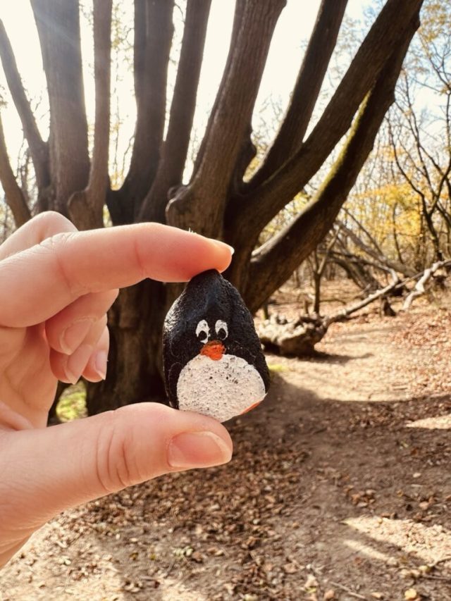 Hand-painted penguin stone #186 hidden at Mysterious Tree, Devinska Kobyla, Slovakia (photo 3 of 5)