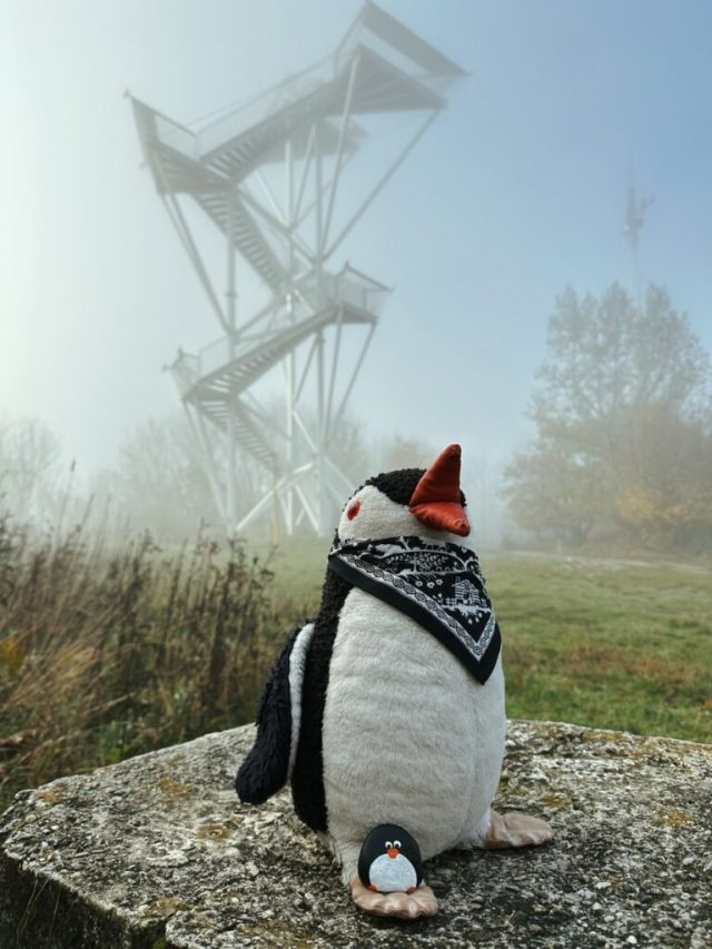 Hand-painted penguin stone #211 hidden at Lookout Tower, Devinska Kobyla, Slovakia (photo 2 of 5)