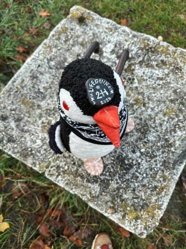 Hand-painted penguin stone #211 hidden at Lookout Tower, Devinska Kobyla, Slovakia (photo 3 of 5)