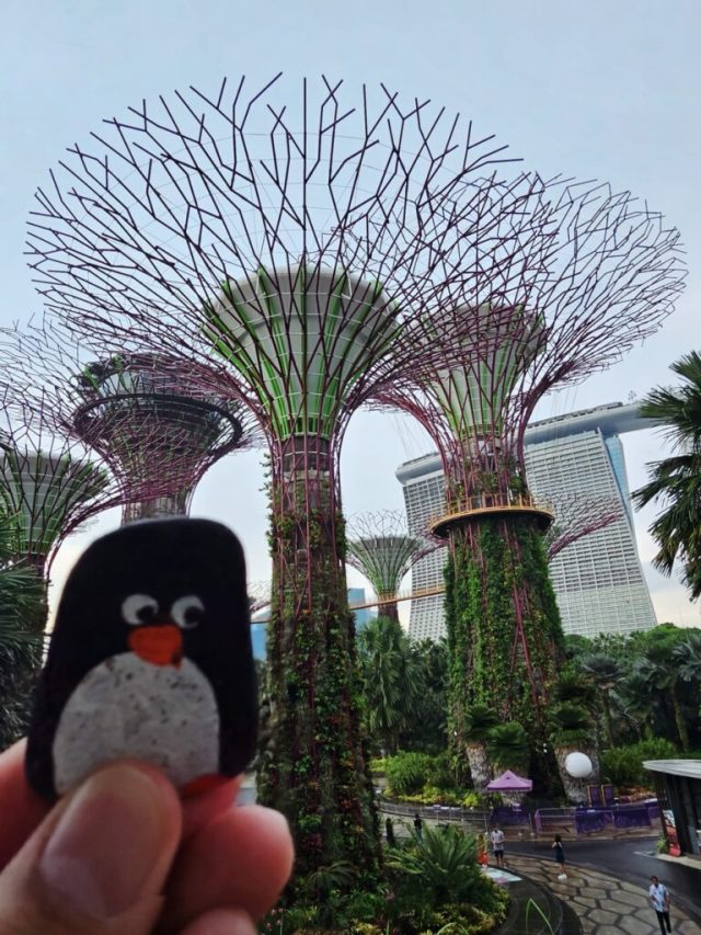 Hand-painted penguin stone #234 hidden at Supertree Grove, Gardens by the Bay, Singapore (photo 2 of 5)