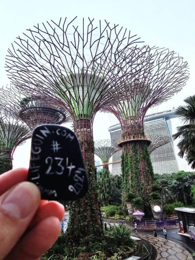 Hand-painted penguin stone #234 hidden at Supertree Grove, Gardens by the Bay, Singapore (photo 3 of 5)