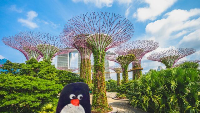 Hand-painted penguin stone #234 hidden at Supertree Grove, Gardens by the Bay, Singapore