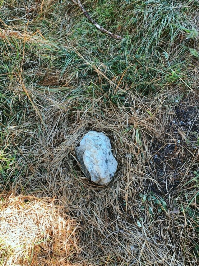 Hand-painted penguin stone #216 hidden at Wetterkreuz, Tyrol, Austria (photo 2 of 5)