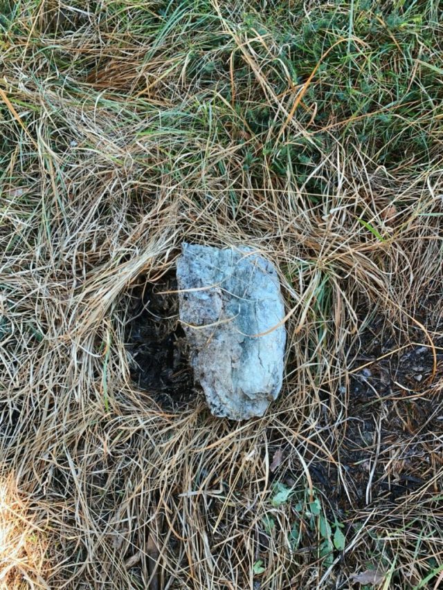 Hand-painted penguin stone #216 hidden at Wetterkreuz, Tyrol, Austria (photo 5 of 5)