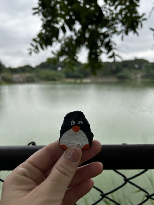 Hand-painted penguin stone #285 hidden at Botanical Garden, Bengalore, India (photo 2 of 4)