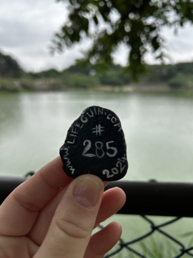 Hand-painted penguin stone #285 hidden at Botanical Garden, Bengalore, India (photo 3 of 4)