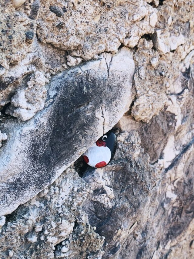 Hand-painted penguin stone #406 hidden at Kronburg Castle, Zams, Austria (photo 4 of 5)