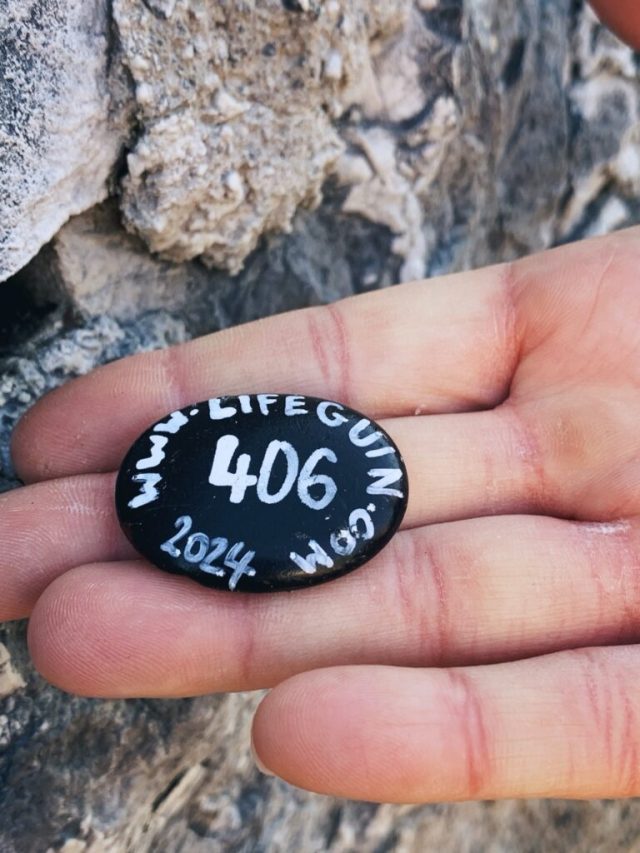Hand-painted penguin stone #406 hidden at Kronburg Castle, Zams, Austria (photo 5 of 5)