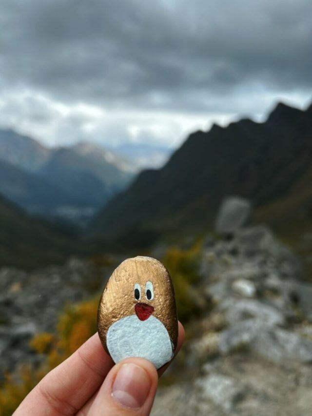 Hand-painted penguin stone #502 hidden at Beas Kund Trek, Manali, India (photo 3 of 5)