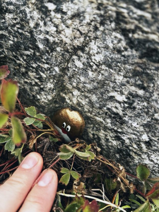 Hand-painted penguin stone #502 hidden at Beas Kund Trek, Manali, India (photo 5 of 5)