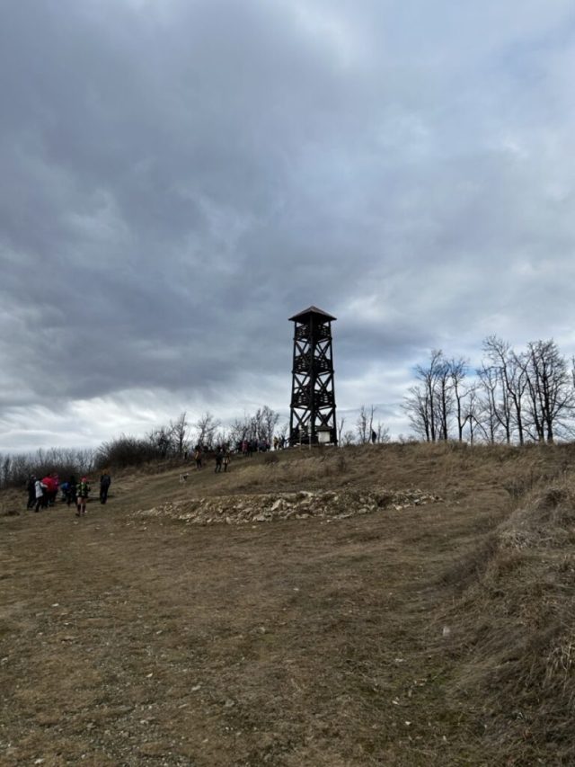 Hand-painted penguin stone #130 hidden at Lookout Tower, Panska Javorina, Slovakia (photo 2 of 5)