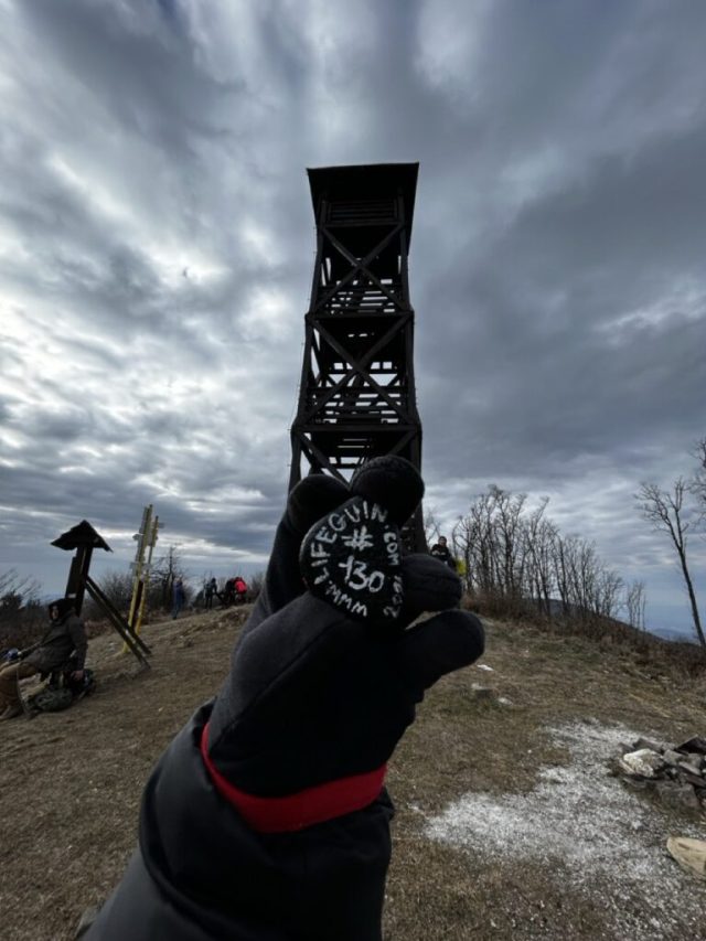 Hand-painted penguin stone #130 hidden at Lookout Tower, Panska Javorina, Slovakia (photo 4 of 5)