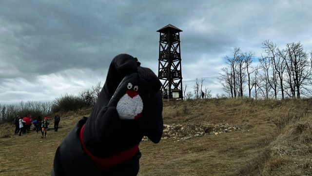 Ručne maľovaný tučniakový kameň č. 130 ukrytý na mieste Lookout Tower, Panska Javorina, Slovensko