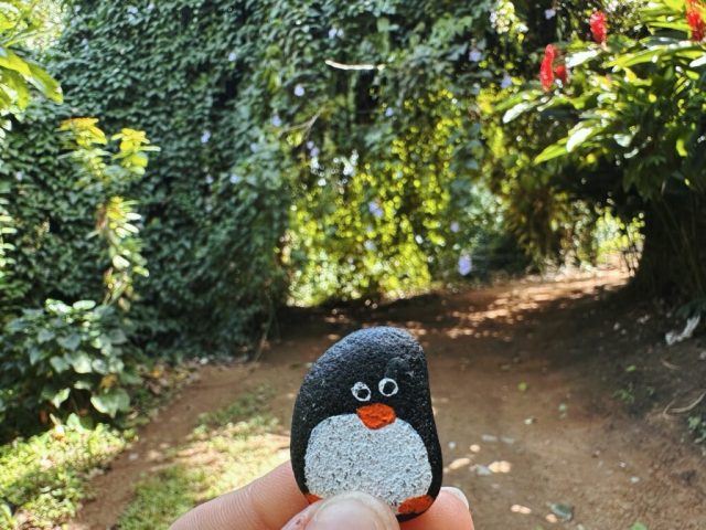 Hand-painted penguin stone #256 hidden at Range Christiano, Anamuya, Dominican Republic (photo 2 of 5)