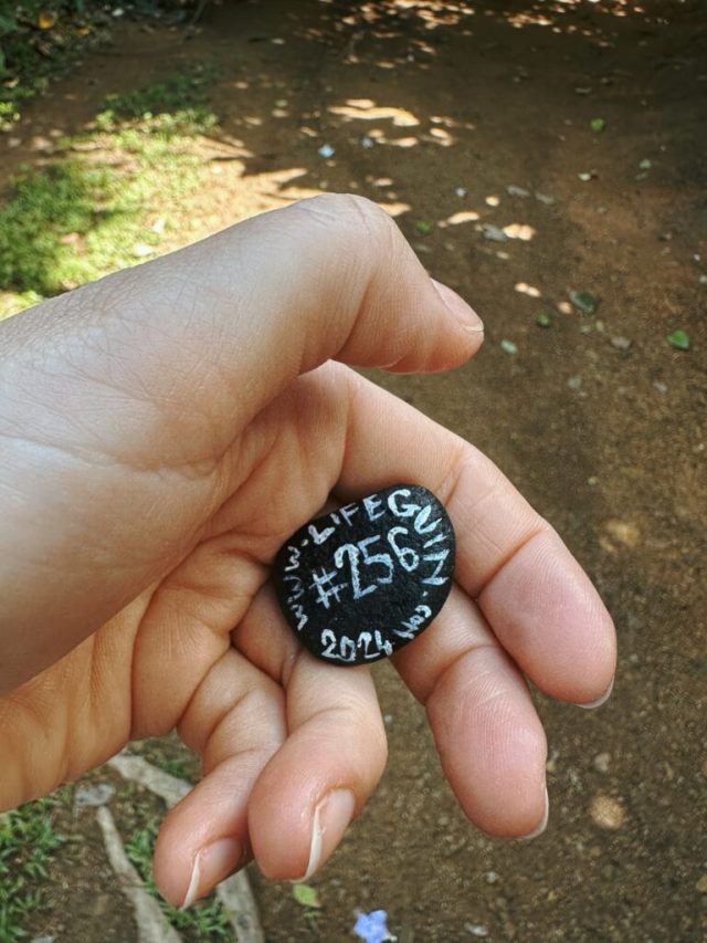 Hand-painted penguin stone #256 hidden at Range Christiano, Anamuya, Dominican Republic (photo 3 of 5)