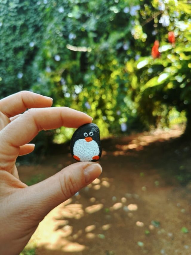 Hand-painted penguin stone #256 hidden at Range Christiano, Anamuya, Dominican Republic (photo 4 of 5)