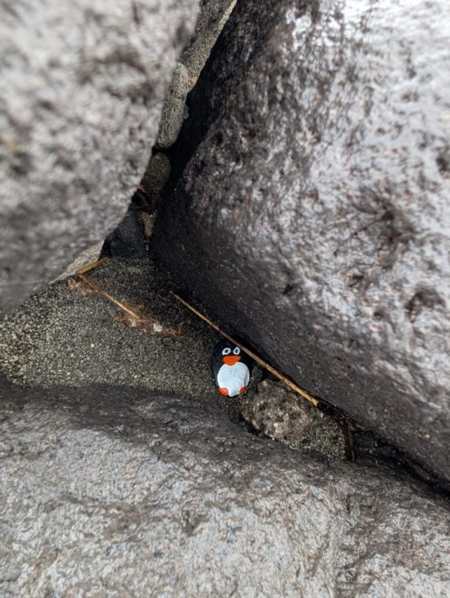 Hand-painted penguin stone #279 hidden at Ibusuki, Kagoshima, Japan (photo 3 of 5)