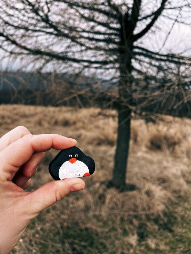 Hand-painted penguin stone #292 hidden at Somar, Little Carpathians, Slovakia (photo 2 of 4)