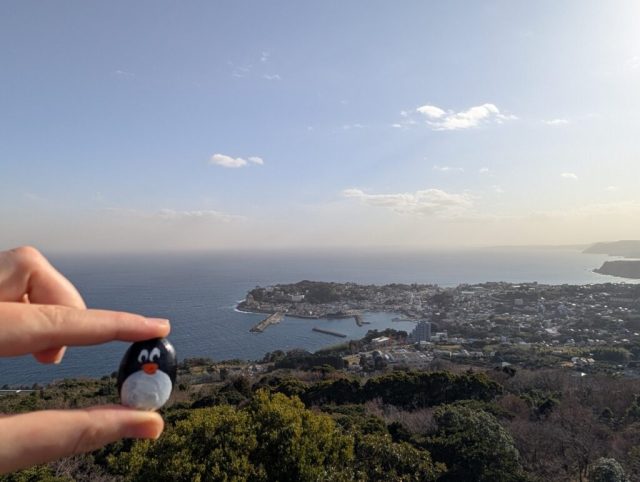 Hand-painted penguin stone #334 hidden at Inatori Forest Park, Inatori, Japan (photo 4 of 4)