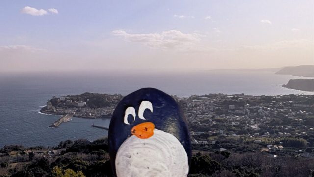 Hand-painted penguin stone #334 hidden at Inatori Forest Park, Inatori, Japan