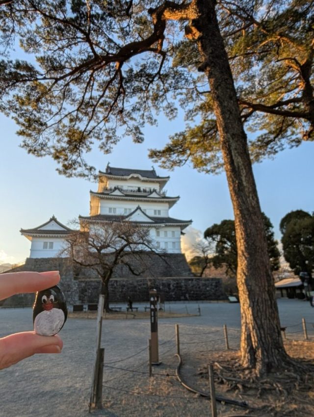 Ručne maľovaný tučniakový kameň č. 398 ukrytý na mieste Odawara Castle, Odawara, Japonsko (fotka 2 z 5)