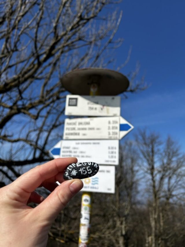 Hand-painted penguin stone #155 hidden at Vysoka, Little Carpathians, Slovakia (photo 2 of 5)