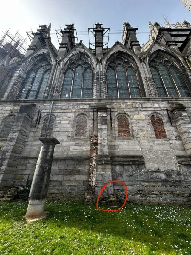 Hand-painted penguin stone #182 hidden at Cathedral of Notre-Dame of Tournai, Tournai, Belgium (photo 2 of 5)