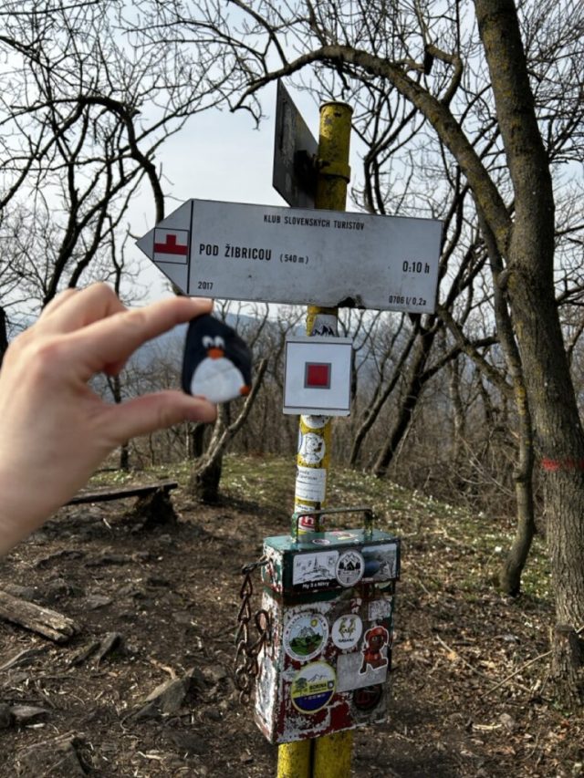 Hand-painted penguin stone #210 hidden at Zibrica, Ponitrie, Slovakia (photo 2 of 4)