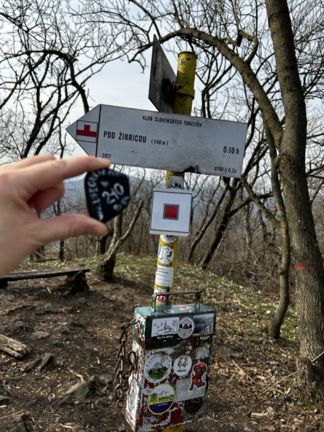Hand-painted penguin stone #210 hidden at Zibrica, Ponitrie, Slovakia (photo 4 of 4)