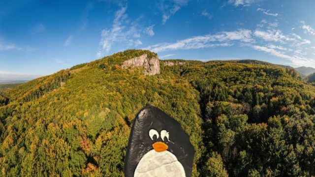 Ručne maľovaný tučniakový kameň č. 210 ukrytý na mieste Žibrica, Ponitrie, Slovensko
