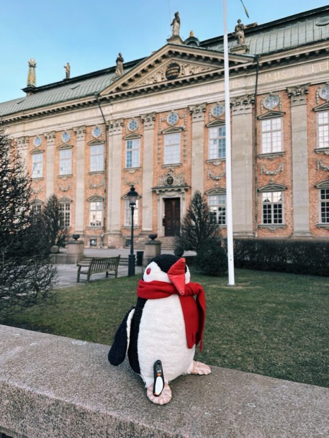 Hand-painted penguin stone #213 hidden at Riddarhuset (House of Nobility), Stockholm, Sweden (photo 2 of 5)