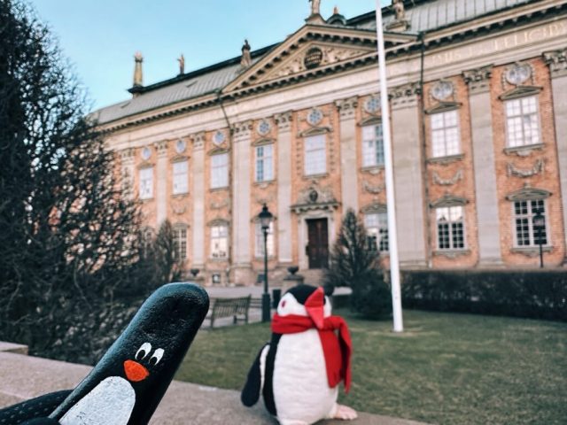 Hand-painted penguin stone #213 hidden at Riddarhuset (House of Nobility), Stockholm, Sweden (photo 3 of 5)