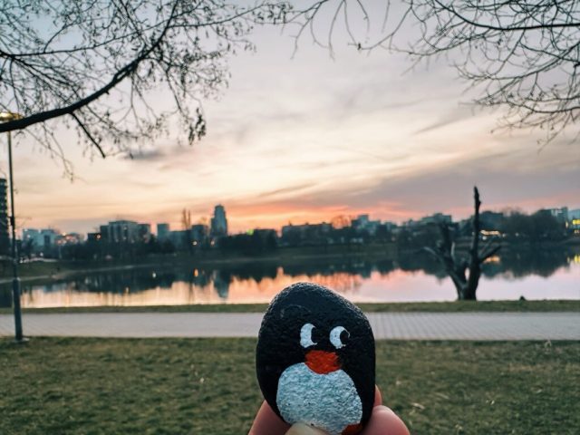 Hand-painted penguin stone #225 hidden at Strkovec Lake, Bratislava, Slovakia (photo 2 of 5)