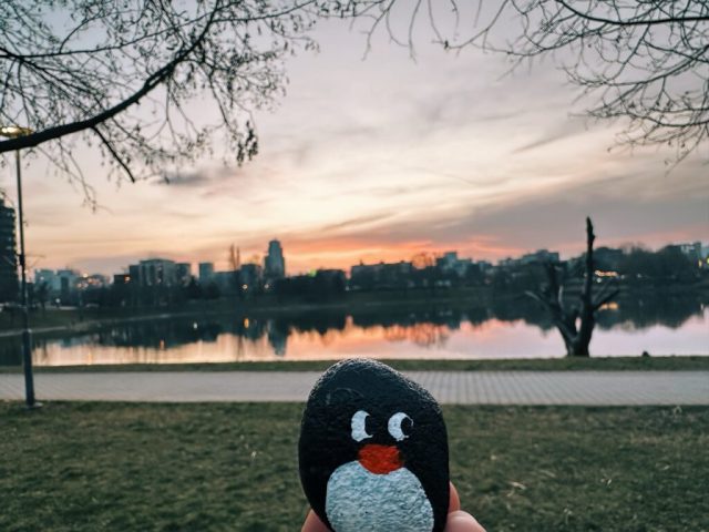 Hand-painted penguin stone #225 hidden at Strkovec Lake, Bratislava, Slovakia (photo 3 of 5)