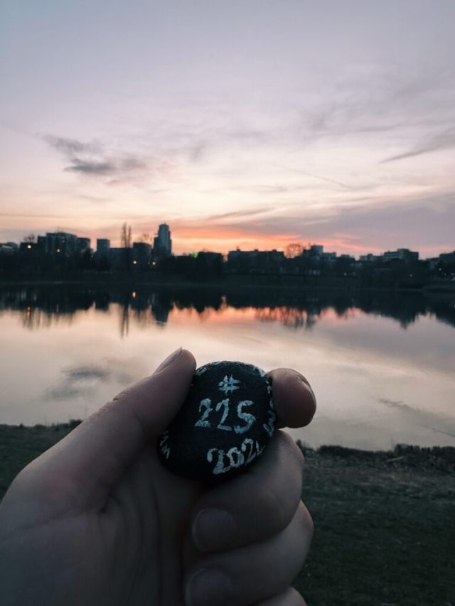 Hand-painted penguin stone #225 hidden at Strkovec Lake, Bratislava, Slovakia (photo 5 of 5)