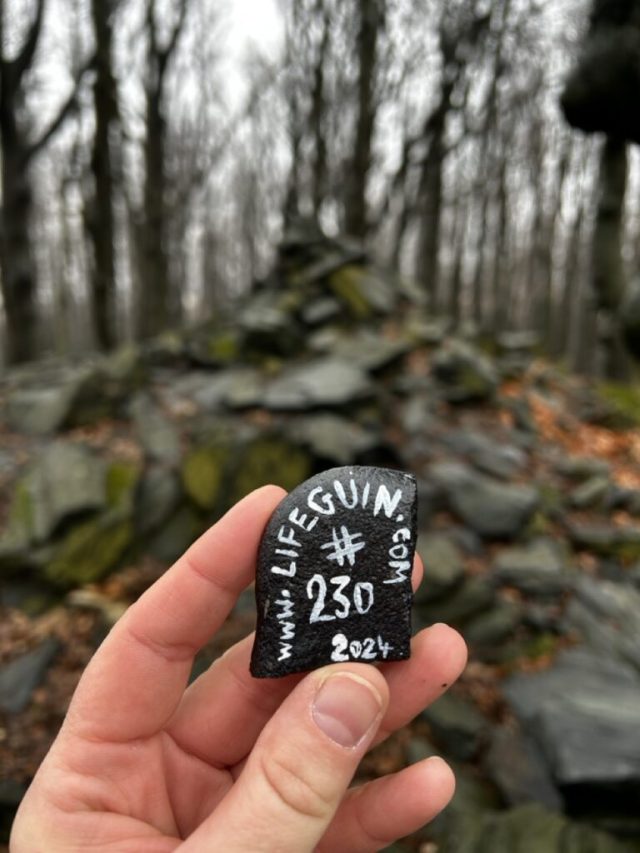 Hand-painted penguin stone #230 hidden at Devil's Hill, Little Carpathians, Slovakia (photo 2 of 5)