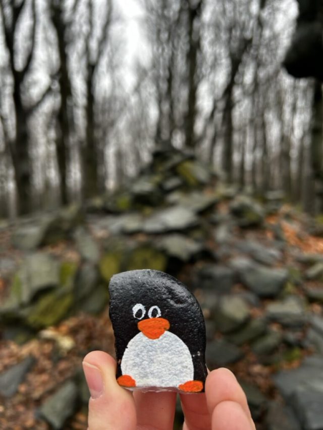 Hand-painted penguin stone #230 hidden at Devil's Hill, Little Carpathians, Slovakia (photo 3 of 5)