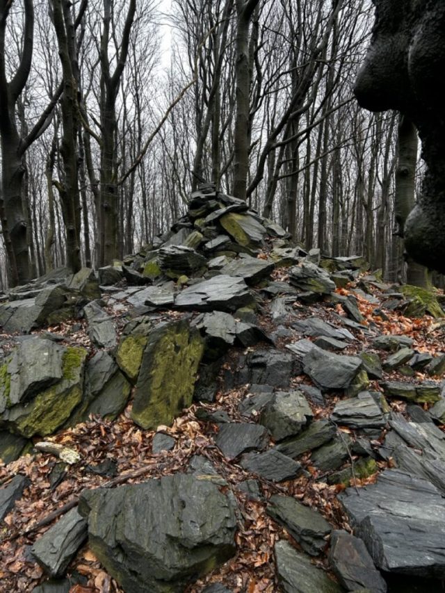 Hand-painted penguin stone #230 hidden at Devil's Hill, Little Carpathians, Slovakia (photo 4 of 5)