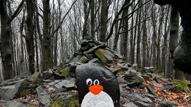 Hand-painted penguin stone #230 hidden at Devil's Hill, Little Carpathians, Slovakia