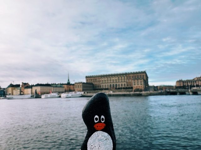Hand-painted penguin stone #232 hidden at Skeppsholmen Island, Stockholm, Sweden (photo 4 of 5)