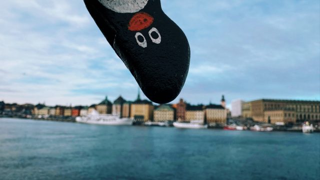 Hand-painted penguin stone #232 hidden at Skeppsholmen Island, Stockholm, Sweden