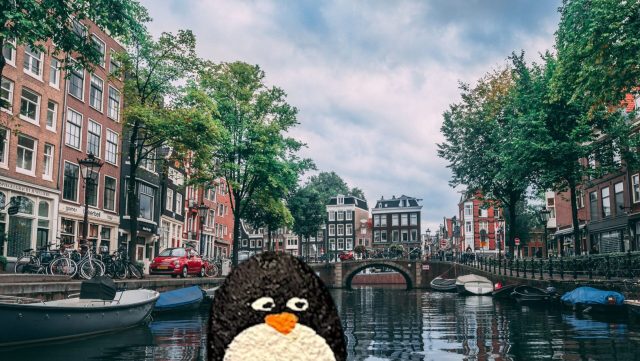 Hand-painted penguin stone #242 hidden at Westerpark, Amsterdam, Netherlands