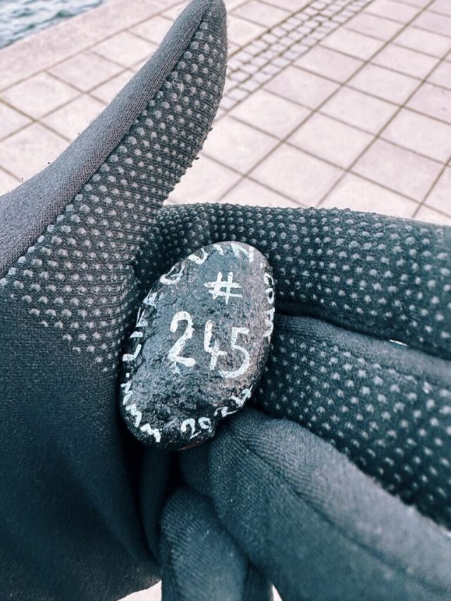 Hand-painted penguin stone #245 hidden at Viewpoint, Stockholm, Sweden (photo 2 of 5)