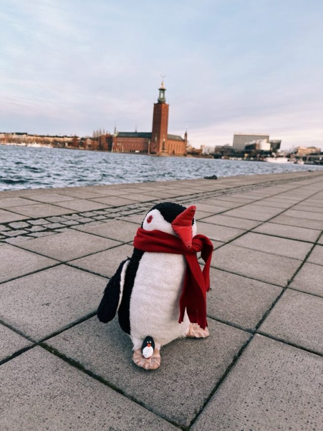 Hand-painted penguin stone #245 hidden at Viewpoint, Stockholm, Sweden (photo 3 of 5)