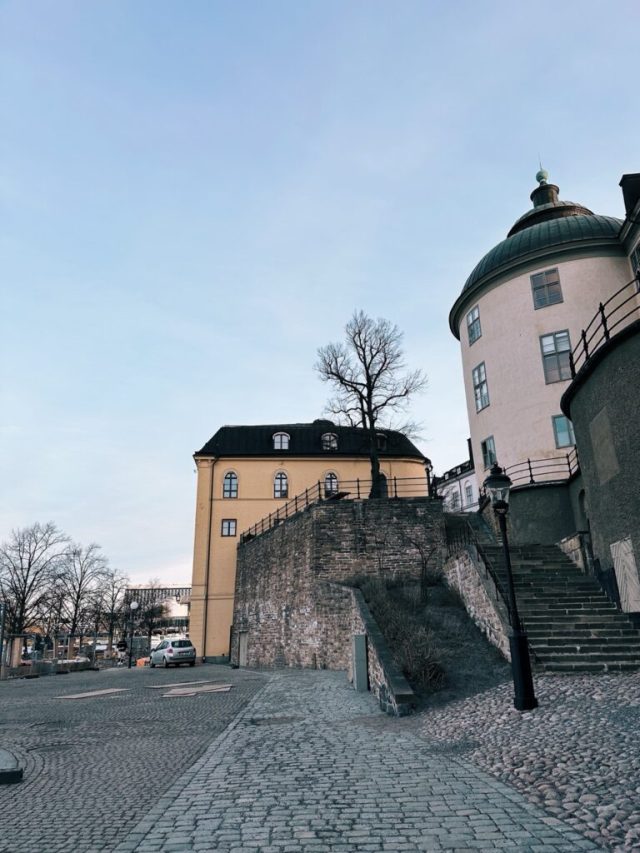 Hand-painted penguin stone #245 hidden at Viewpoint, Stockholm, Sweden (photo 4 of 5)