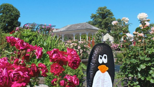 Hand-painted penguin stone #262 hidden at The Rose Garden, Gothenburg, Sweden