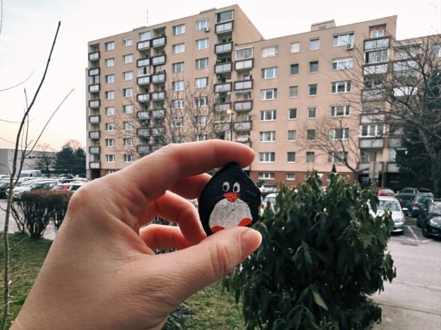 Hand-painted penguin stone #265 hidden at Ruzinov, Bratislava, Slovakia (photo 2 of 5)