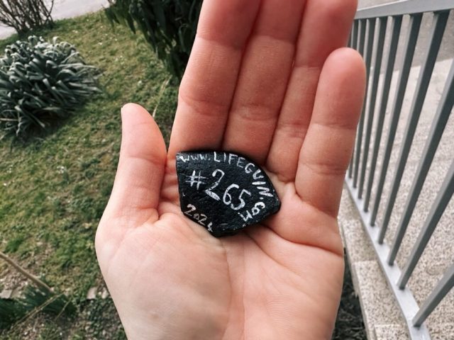 Hand-painted penguin stone #265 hidden at Ruzinov, Bratislava, Slovakia (photo 3 of 5)